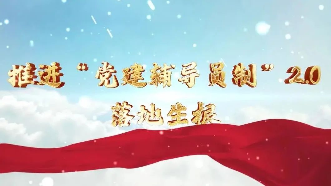  党建经营融合十佳案例④ | 西南水泥——“领导员造”+“进建型组织”，让党建成为看得见的“出产力” 